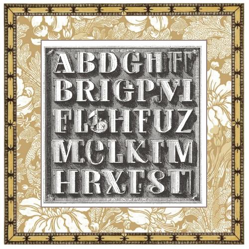 Ciao Bella Typographic 6x6 Inch Deluxe Paper Pearl Copper & Vellum Dual Pack Mixed (6pcs) (CBXQ008)