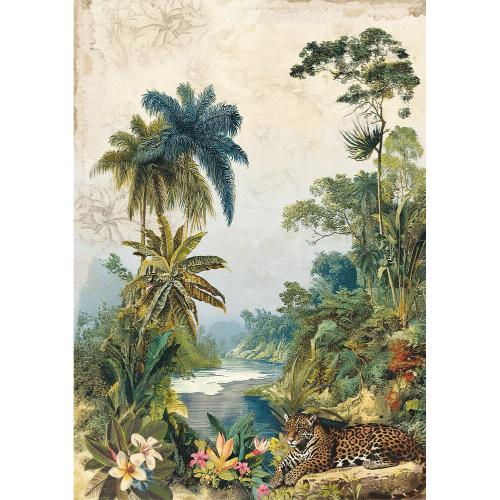 Ciao Bella Jungle Vibes A5 Rice Paper Mixed (8pcs) (CBRS041)