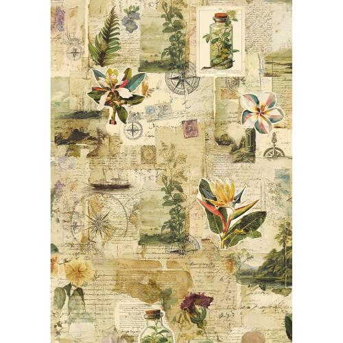 Ciao Bella Jungle Vibes A5 Rice Paper Mixed (8pcs) (CBRS041)
