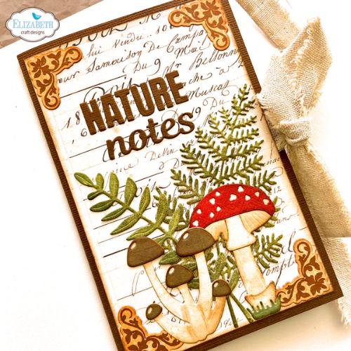 Elizabeth Craft Designs Everyday Words 2 Dies (2078)