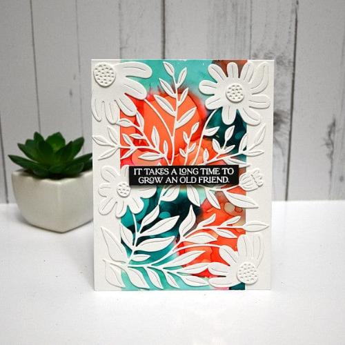 Spellbinders - More Fresh Picked I Want It All! Bundle - Postage as per Actual