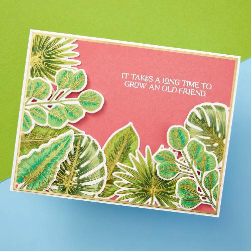 Spellbinders - Tropical Leaves Press Plate & Die Set