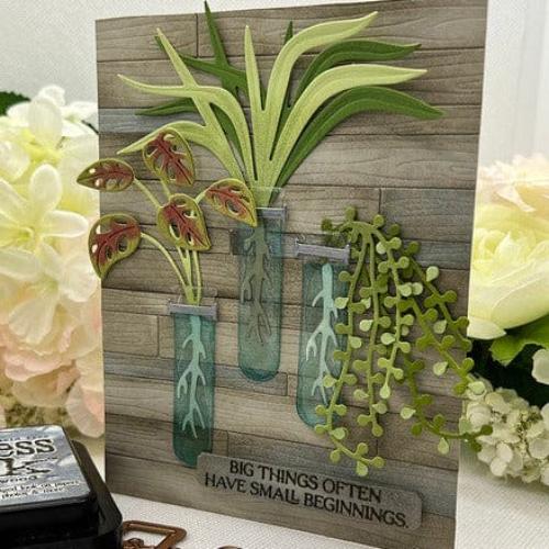 Spellbinders - Laboratory Glassware Etched Dies