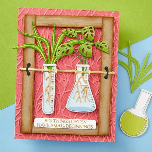 Spellbinders - Propagation Garden Stamp & Dies Bundle by Annie Willams - Postage as per Actual