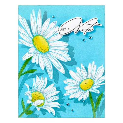 Spellbinders - Daisy Trio BetterPress and Stencil Bundle from the Yana's Daisies Collection by Yana Smakula