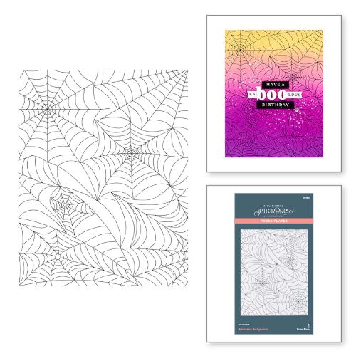 Spellbinders - Spider Web Background Press Plate