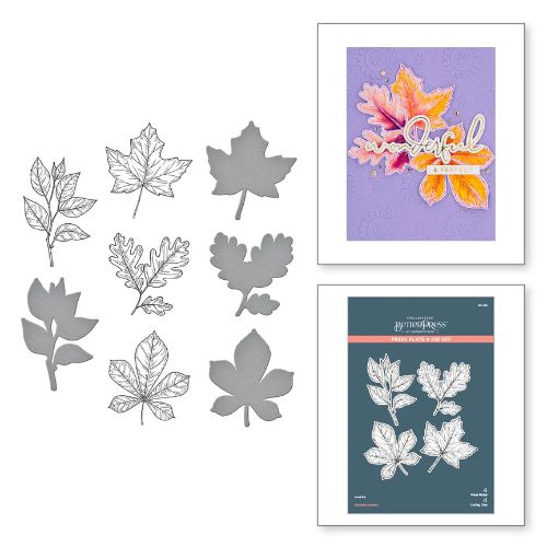 Spellbinders - Autumn Leaves Press Plate & Die Set - Postage as per Actual