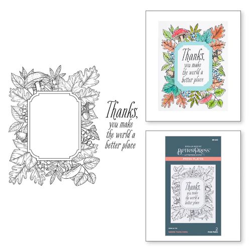 Spellbinders - Autumn Thanks Frame Press Plate