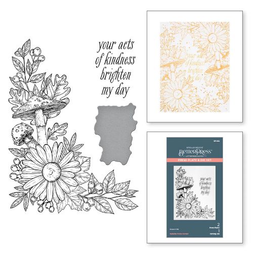 Spellbinders - Autumn Floral Corner Press Plate & Die Set