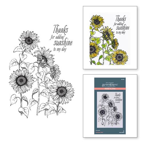 Spellbinders - Sunflower Field Press Plate