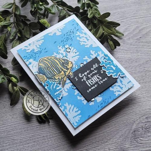 Hero Arts - Color Layering Stamp: CM538 Royal Angelfish