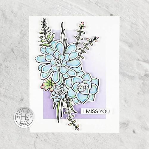 Hero Arts - Stamps: CM541 Succulent Bouquet