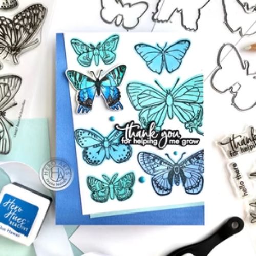 Hero Arts Clear Stamp & Die Combo Beautiful Butterflies