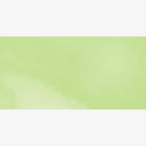 Royal Talens - Ecoline Watercolour Brush Pen - Pastel Green