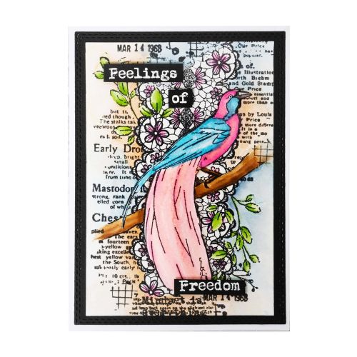 Studio Light Feelings of Freedom Clear Stamps Birds-of-paradise