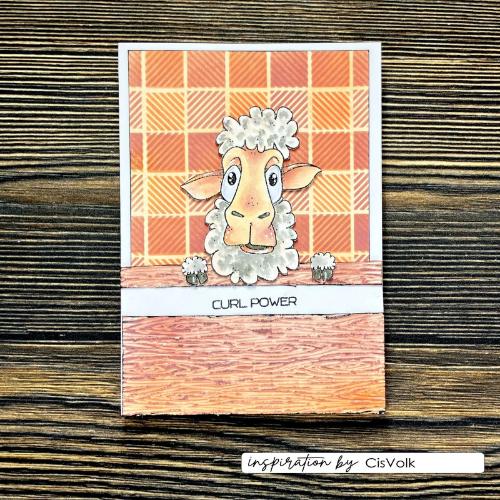 Vaessen Creative • 3D Embossing Folder by Carla Creates Wood on the Farm 5.9x5.9"