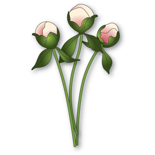 Memory Box - Peony Bud Stems craft die