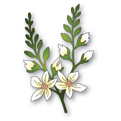 Memory Box - Crocosmia Stems craft die