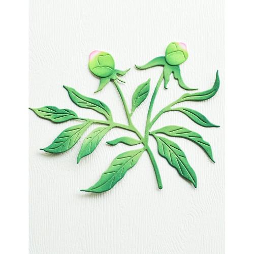 Memory Box - Peony Bud Trio craft die