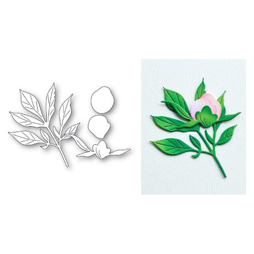 Memory Box - Tender Peony Bud craft die