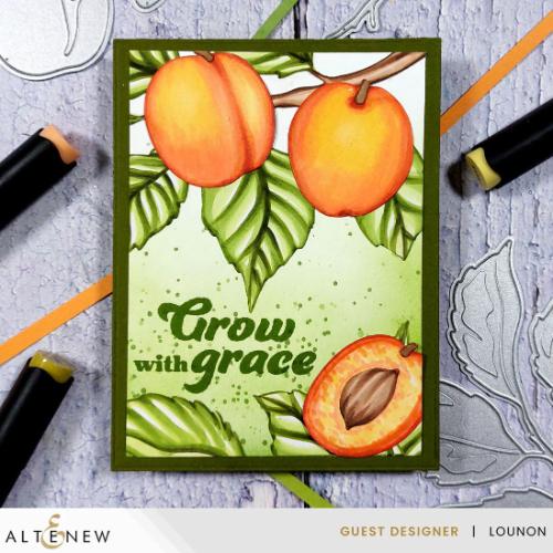 Altenew - Sweet Apricots Layering Die Set