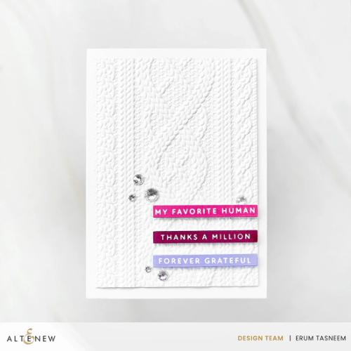 Altenew - One-Go: Solid Sentiment Strips 3 Press Plates/Foil Plates (Gratitude Edition)