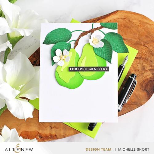 Altenew - One-Go: Solid Sentiment Strips 3 Press Plates/Foil Plates (Gratitude Edition)