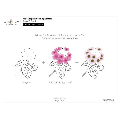 Altenew - Mini Delight: Blooming Lantana Stamp & Die Set