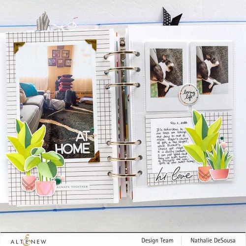 Altenew - Dynamic Duo: Hanging Houseplants