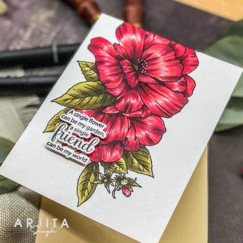 Gina K Designs - BUNDLE- Flowering Friendship - Postage as per Actual