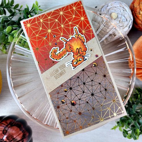 Spellbinders - Purrfect Cats Stamp & Die Set by Simon Hurley - Postage as per Actual