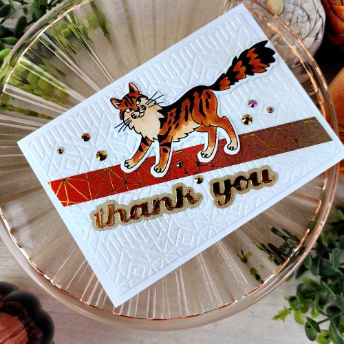 Spellbinders - Purrfect Cats Stamp & Die Set by Simon Hurley - Postage as per Actual