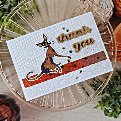 Spellbinders - Purrfect Cats Stamp & Die Set by Simon Hurley - Postage as per Actual