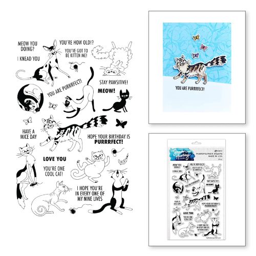 Spellbinders - Purrfect Cats Stamp & Die Set by Simon Hurley - Postage as per Actual