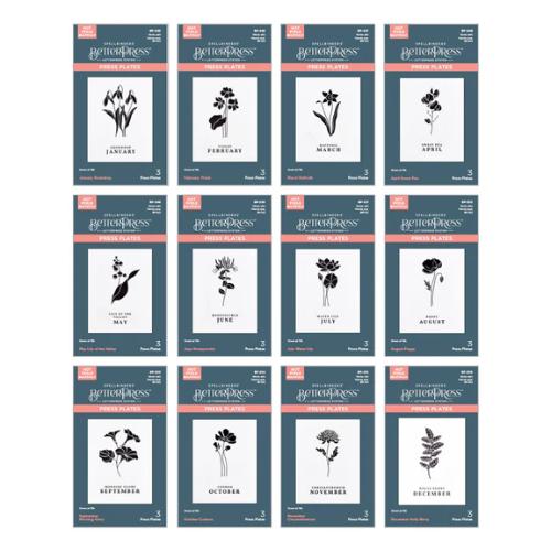 Spellbinders - Florals Through the Year BetterPress Plates Bundle - Postage as per Actual