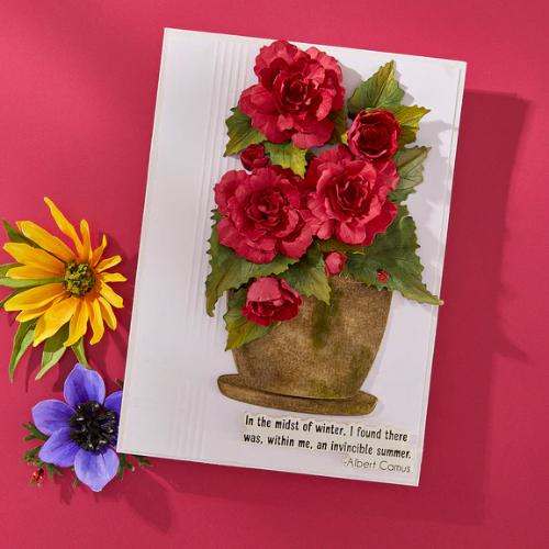 Spellbinders - Summer Solstice Garden Die Bundle - Postage as per Actual