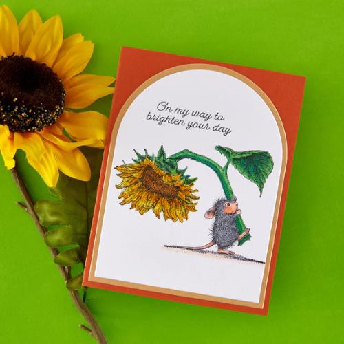 Spellbinders - House-Mouse Sunflower Walk Bundle - Postage as per Actual