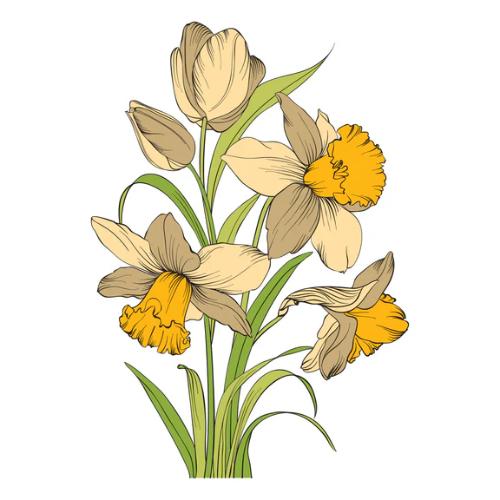 Spellbinders - Tulips and Daffodils Press + Foil Plate and Stencil Bundle by Yana Smakula