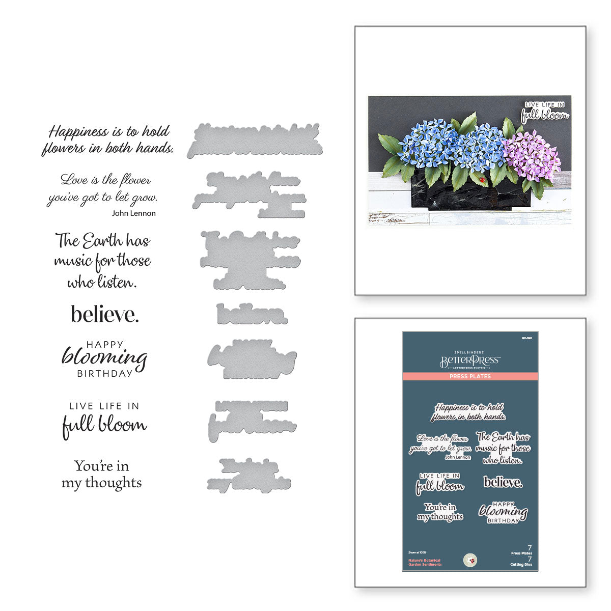 Spellbinders - Nature's Botanical Garden Sentiments Press Plate & Die Set
