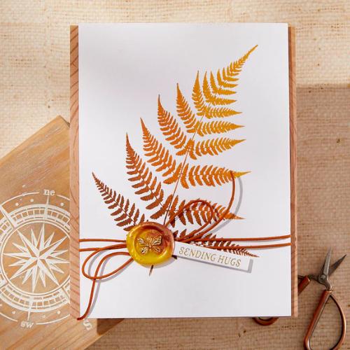 Spellbinders - Lush Ferns BetterPress Plate from the Field Notes Collection