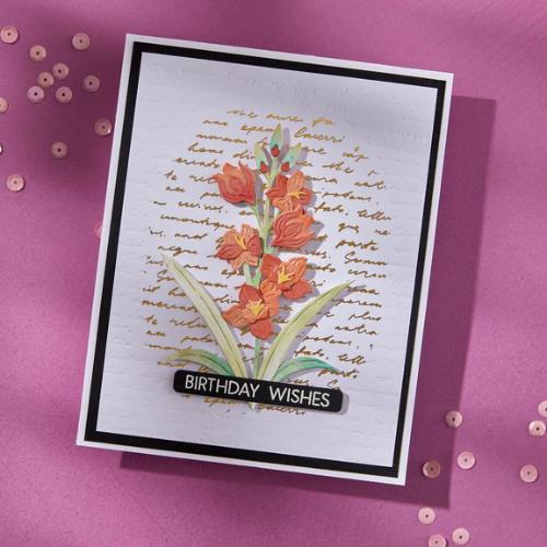 Spellbinders - Script Text BetterPress Plate from the Wildflowers Collection by Lisa Horton