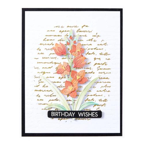 Spellbinders - Script Text BetterPress Plate from the Wildflowers Collection by Lisa Horton