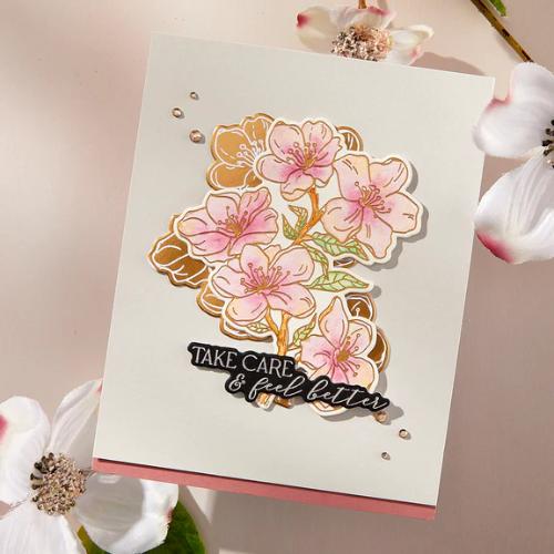 Spellbinders - Cherry Blossoms BetterPress Plate & Die Set from the Spring in Kyoto Collection by Alex Syberia Designs