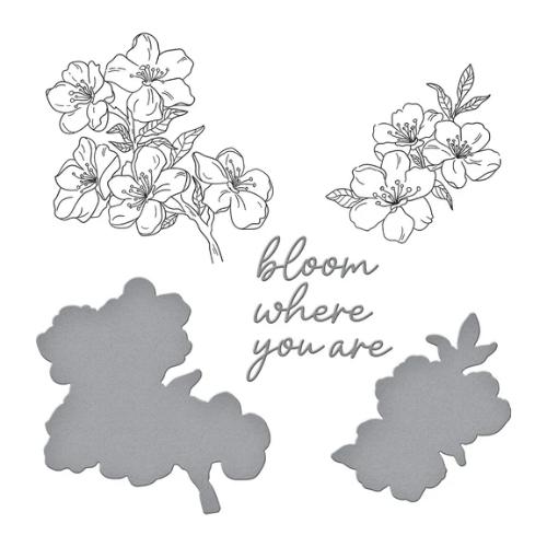 Spellbinders - Cherry Blossoms BetterPress Plate & Die Set from the Spring in Kyoto Collection by Alex Syberia Designs