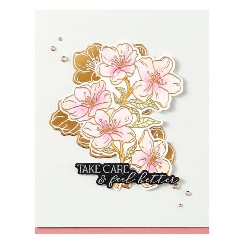 Spellbinders - Cherry Blossoms BetterPress Plate & Die Set from the Spring in Kyoto Collection by Alex Syberia Designs