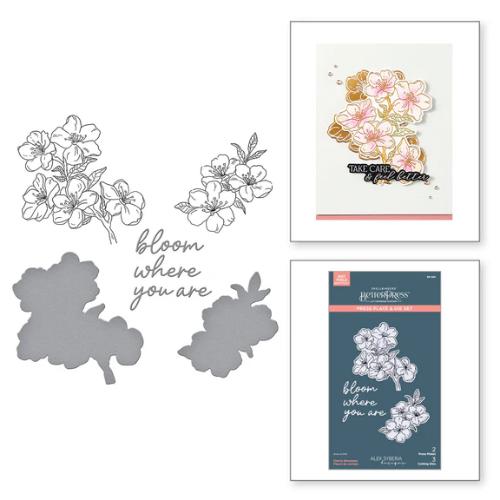 Spellbinders - Cherry Blossoms BetterPress Plate & Die Set from the Spring in Kyoto Collection by Alex Syberia Designs