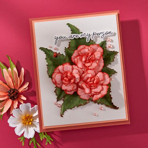 Spellbinders - Summer Solstice Garden Sentiments BetterPress Plate & Die Set from the Summer Solstice Garden Collection by Susan Tierney-Cockburn