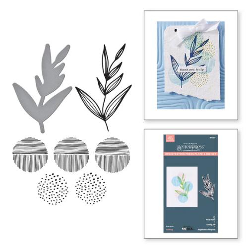 Spellbinders - Growing Betterpress Plates & Die Set from the Modern Botanicals Collection by Dina Wakley