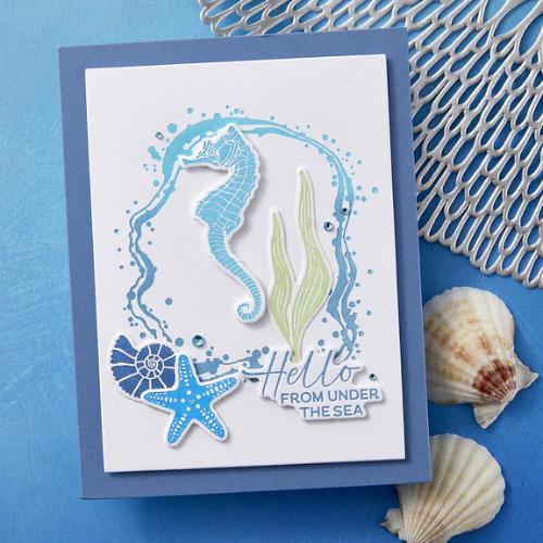 Spellbinders - Sea Friends Press Plate & Die Set - BetterPress Society June 2025