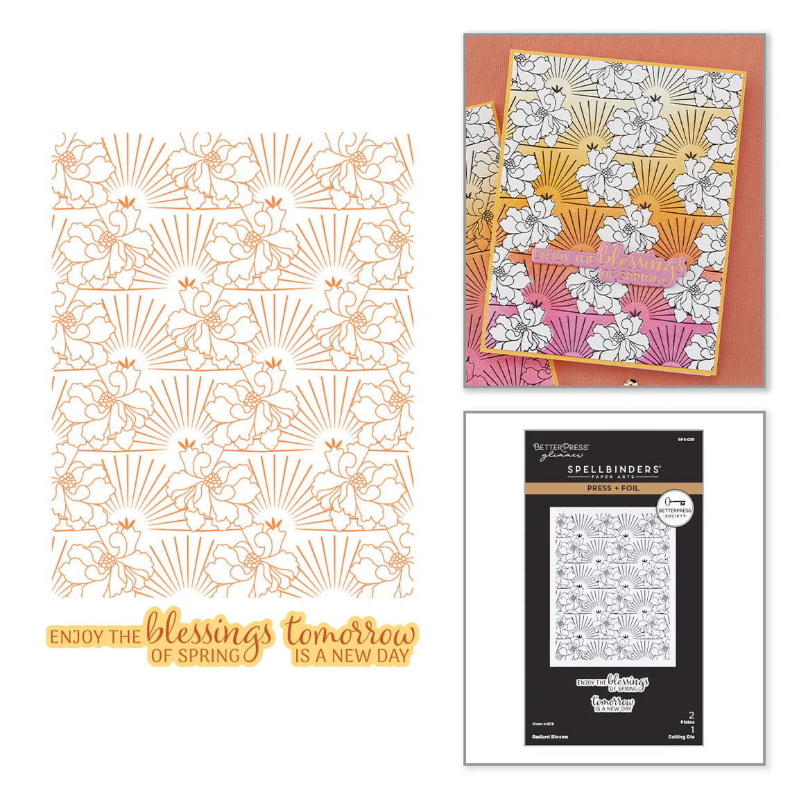 Spellbinders - Radiant Blooms Press Plate & Die Set and Add-on Stencil- BetterPress Society February 2026 - Postage as per Actual